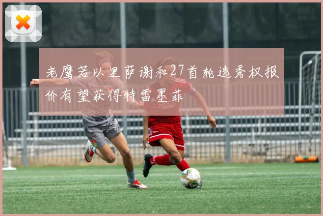 老鹰若以里萨谢和27首轮选秀权报价有望获得特雷墨菲